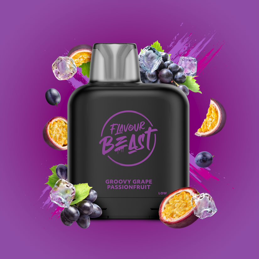 FLAVOUR BEAST POD LEVEL X